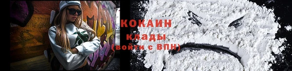 ПСИЛОЦИБИНОВЫЕ ГРИБЫ Алексин