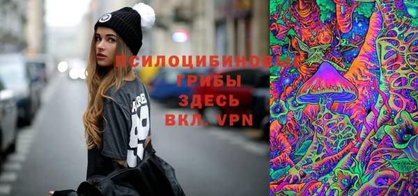 мяу мяу мука Арсеньев