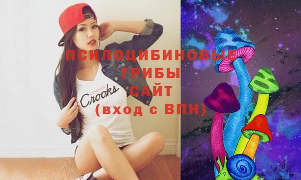 Альфа ПВП Аркадак