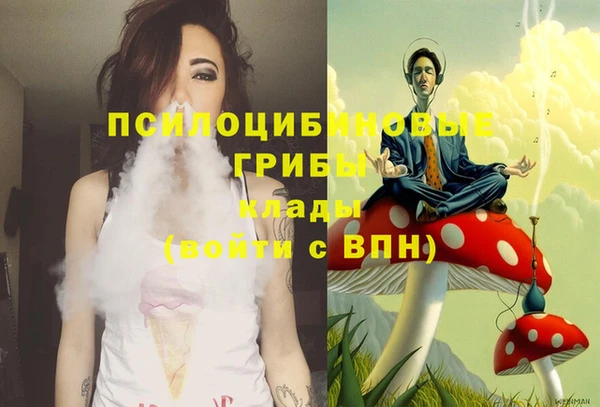 ПСИЛОЦИБИНОВЫЕ ГРИБЫ Алексин